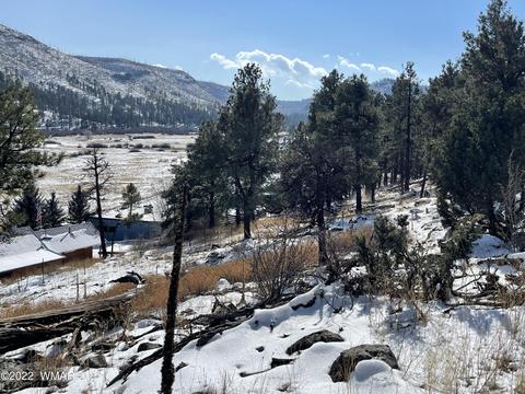 2 1013, Greer, AZ 85927 photo 23
