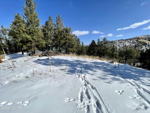 2 1013, Greer, AZ 85927 photo 27