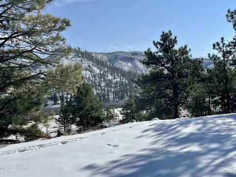 2 1013, Greer, AZ 85927 photo 19