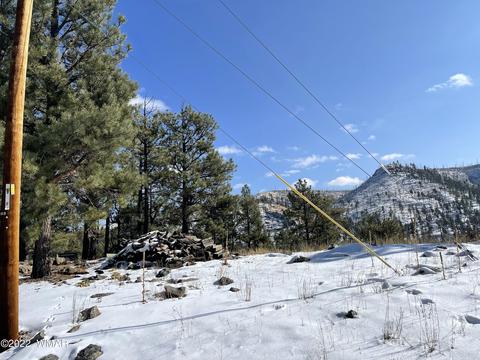 2 1013, Greer, AZ 85927 photo 33