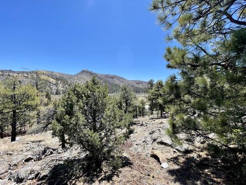 2 1013, Greer, AZ 85927 photo 12