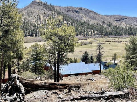 2 1013, Greer, AZ 85927 photo 8