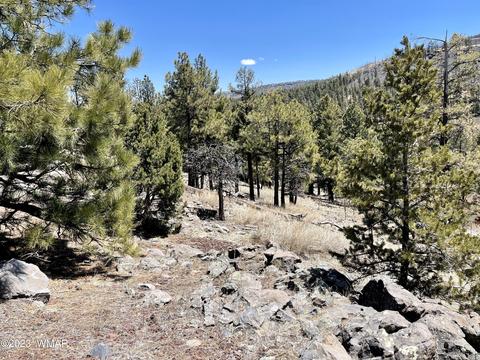 2 1013, Greer, AZ 85927 photo 5