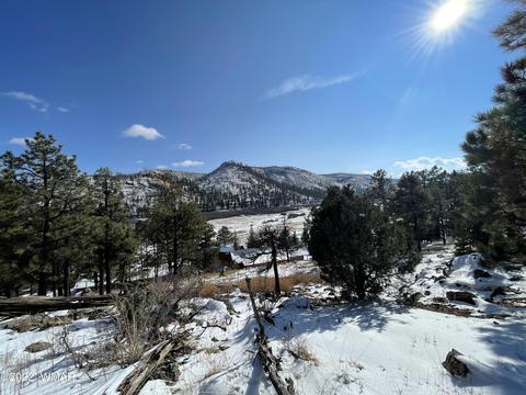 2 1013, Greer, AZ 85927 photo 20
