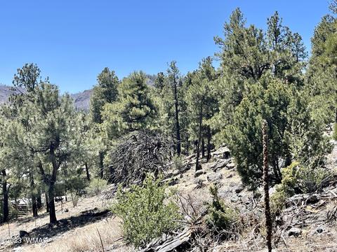 2 1013, Greer, AZ 85927 photo 11