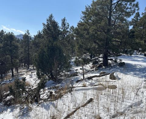 2 1013, Greer, AZ 85927 photo 24