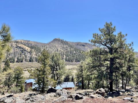 2 1013, Greer, AZ 85927