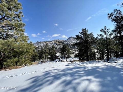 2 1013, Greer, AZ 85927 photo 30