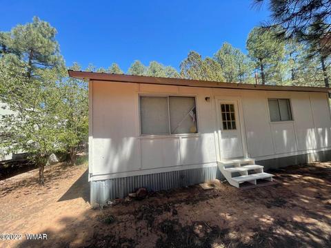 2891 Tracy Rd, Overgaard, AZ 85933 photo 3