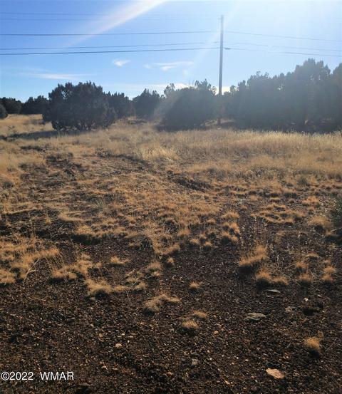 8453 Snowflake Cir, Show Low, AZ 85901