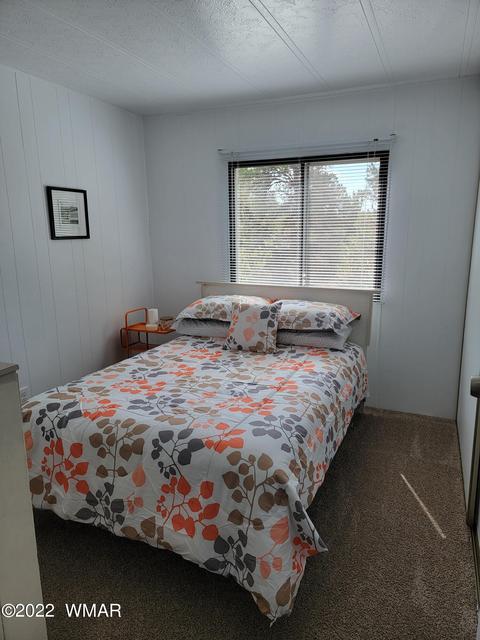 3486 Quail Run Rd, Overgaard, AZ 85933 photo 12