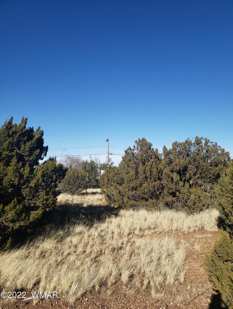 8496 Canyon Dr, Show Low, AZ 85901
