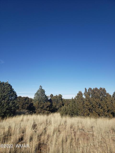 8654 Cox Dr, Show Low, AZ 85901