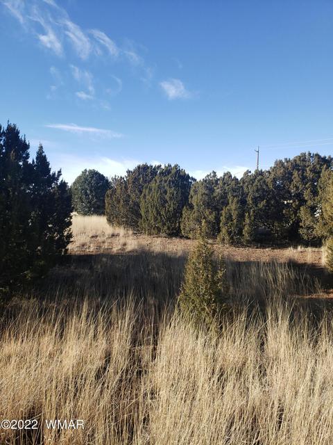 1798 Snyder Cir, Show Low, AZ 85901