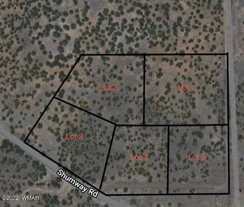 0 Shumway Rd #LOT 5, Taylor, AZ 85939