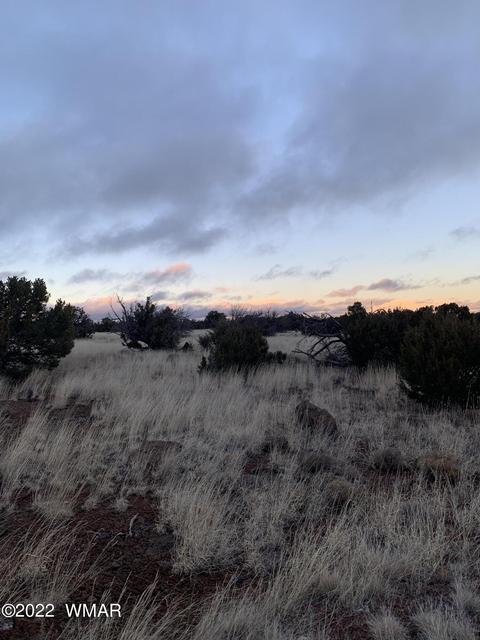 8084 County Rd 8084, Concho, AZ 85924