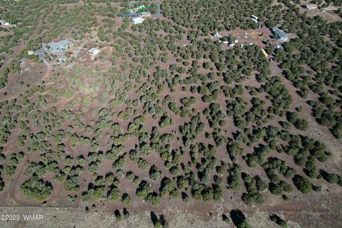 Apache Woodlands Lots M, Vernon, AZ 85940