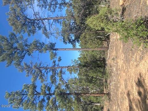 300 S Falling Leaf Rd, Show Low, AZ 85901