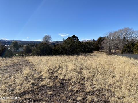 tbd W 10th St, Eagar, AZ 85925 photo 3