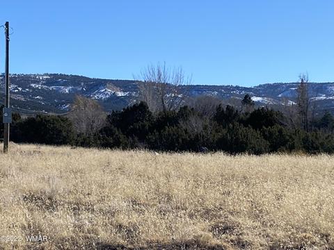 tbd W 10th St, Eagar, AZ 85925