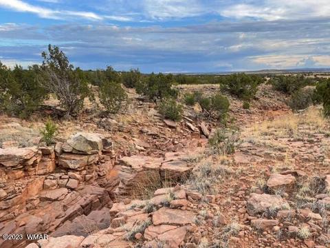 3932 Clyde Rd, Snowflake, AZ 85937 photo 20