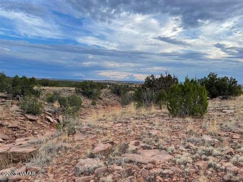 3932 Clyde Rd, Snowflake, AZ 85937 photo 18