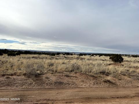 3932 Clyde Rd, Snowflake, AZ 85937 photo 7
