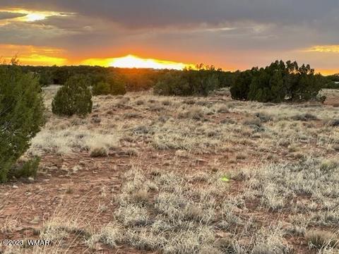 3932 Clyde Rd, Snowflake, AZ 85937 photo 24