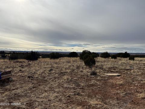 3932 Clyde Rd, Snowflake, AZ 85937 photo 3