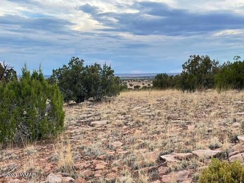 3932 Clyde Rd, Snowflake, AZ 85937 photo 21