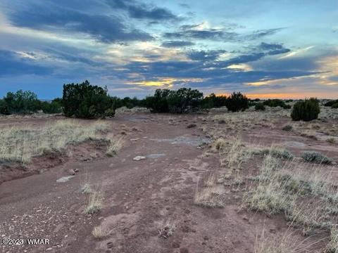 3932 Clyde Rd, Snowflake, AZ 85937 photo 23