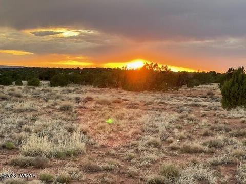 3932 Clyde Rd, Snowflake, AZ 85937 photo 25