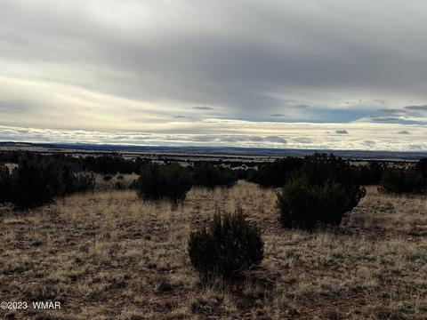 3932 Clyde Rd, Snowflake, AZ 85937 photo 6