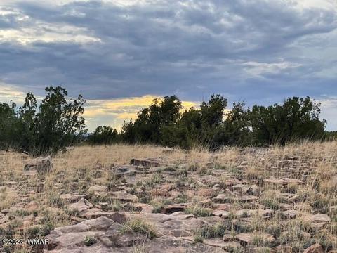 3932 Clyde Rd, Snowflake, AZ 85937 photo 22