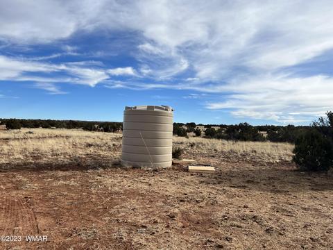 3932 Clyde Rd, Snowflake, AZ 85937 photo 2