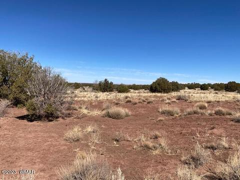 4427 Mountain View Rd, Snowflake, AZ 85937 photo 1