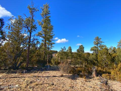 3350 Stone Bridge Trl, Heber, AZ 85928