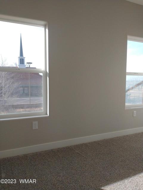 715 Cobble Ln, Taylor, AZ 85939 photo 12