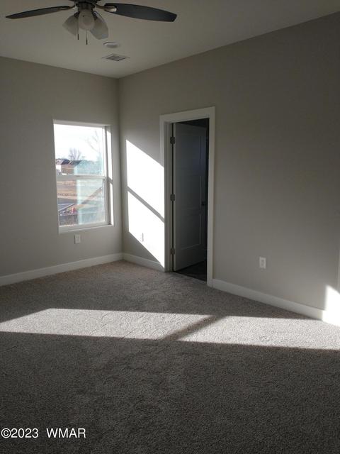 715 Cobble Ln, Taylor, AZ 85939 photo 9