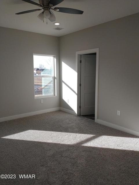 715 Cobble Ln, Taylor, AZ 85939 photo 11