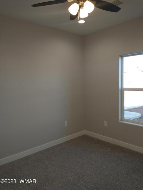 715 Cobble Ln, Taylor, AZ 85939 photo 31