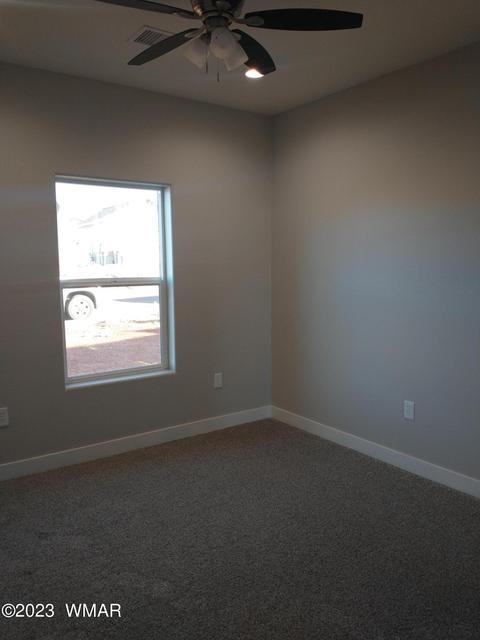 715 Cobble Ln, Taylor, AZ 85939 photo 28