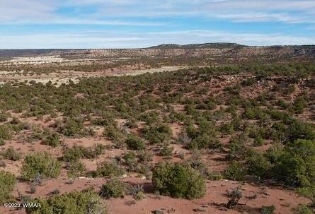 tbd Yellow Rose Rd, White Mountain Lake, AZ 85912