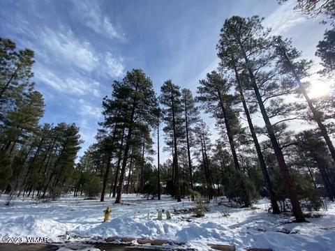 3300 W Tobasa Ln, Show Low, AZ 85901