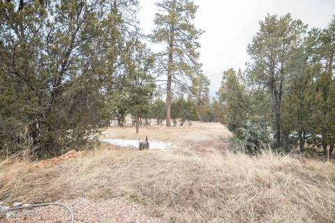 3111 Cedar Dr, Overgaard, AZ 85933 photo 8