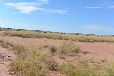 5567 Skyline Rd, Snowflake, AZ 85937