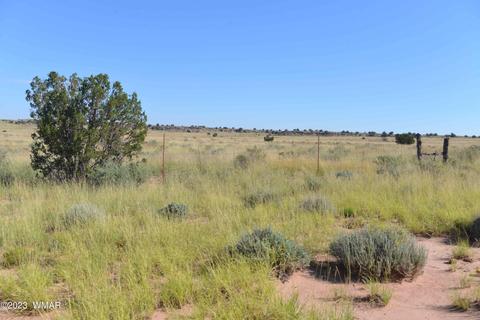 5567 Skyline Rd, Snowflake, AZ 85937 photo 2