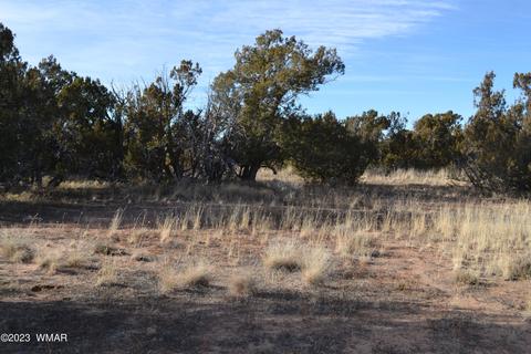 3919 Trebil Blvd, Snowflake, AZ 85937 photo 7
