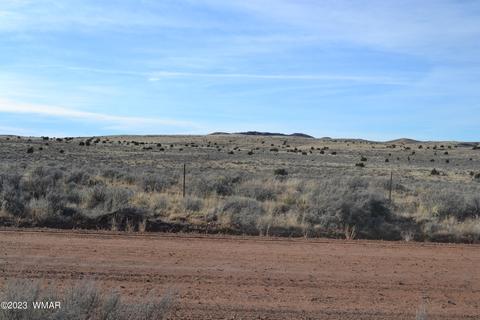 3919 Trebil Blvd, Snowflake, AZ 85937 photo 9