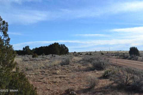 3919 Trebil Blvd, Snowflake, AZ 85937 photo 8